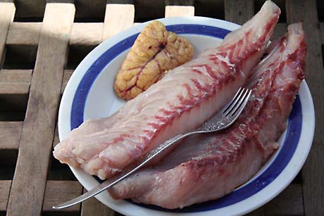 grouper fileetje met kuit