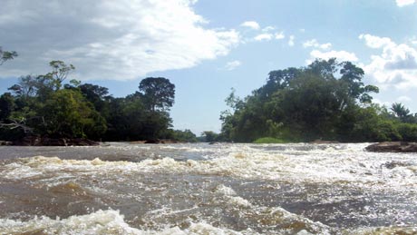 rapids, Surinamerivier