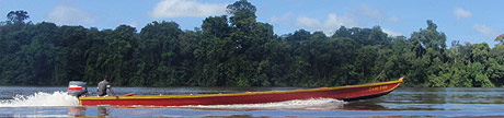korjal, Suriname